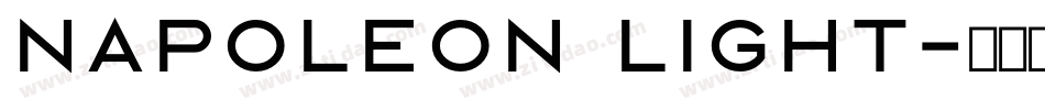 Napoleon Light字体转换